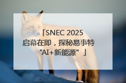 SNEC 2025启幕在即，探秘易事特“AI+新能源”